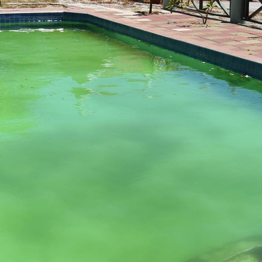 How to Get Rid of Green Pool Water