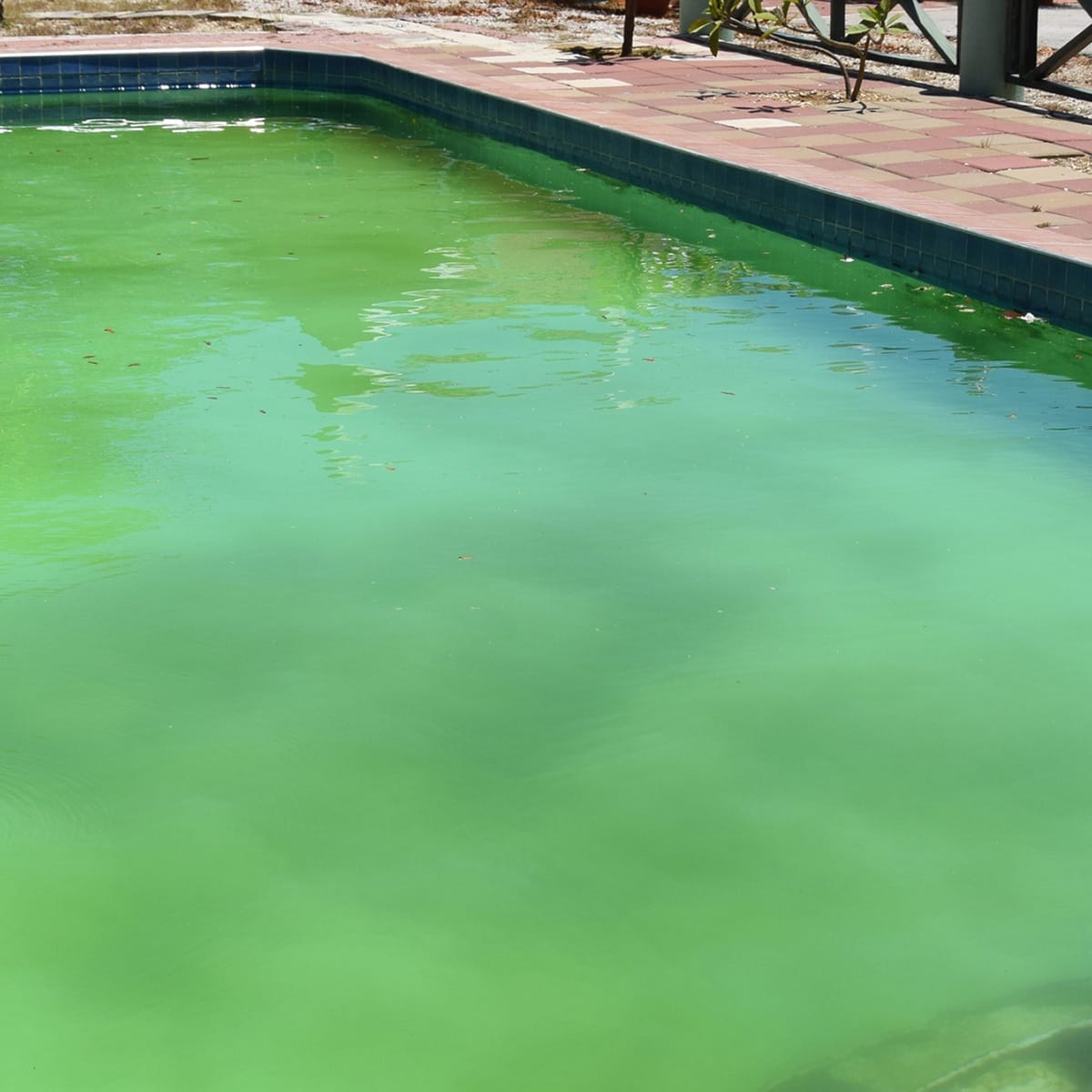 Green Pool Water Rocks How to Get Rid of Green Pool Water – HTH-Ca